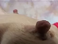 Morena porno brasileiros caseiros escorreu como gelo e inseriu o pênis do massagista
